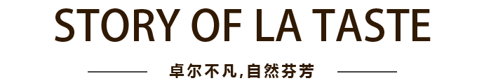 尊龙凯时-人生就是搏中国官方网站