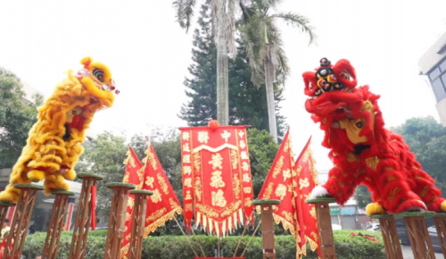 龙腾狮跃，，，，，，共铸绚烂未来！